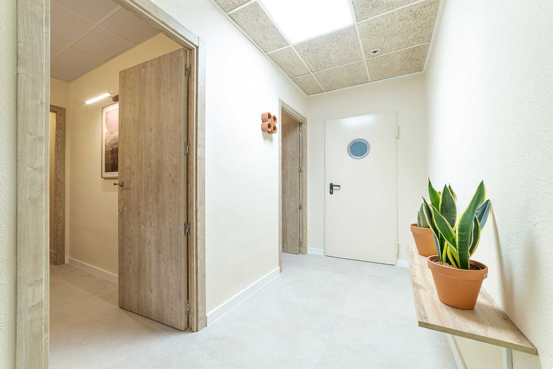 Zorongo by NEGRE+BOBO